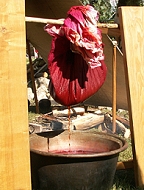 F&auml;rbergut und -kessel