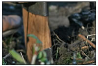 Historisches Werkzeug im Praxistest.