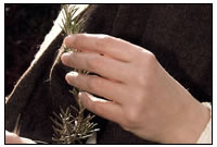 Gem&aumlss der traditionellen Aufgaben der Kl&oumlster in der Krankenpflege und Medikamentenherstellung besch&aumlftigen sich auch die Darsteller des klerikalen Lebens mit Heilpflanzen.