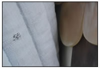 Das Ergebnis unseres Beschusstestes auf einen Schuppenpanzer aus Rinderhorn. Die Pfeilspitze blieb in der Polsterung stecken und h&aumltte den Tr&aumlger kaum verletzt.